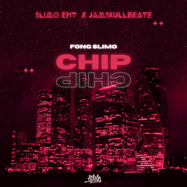 Chip