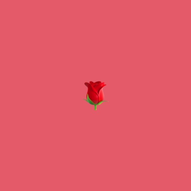 rose²