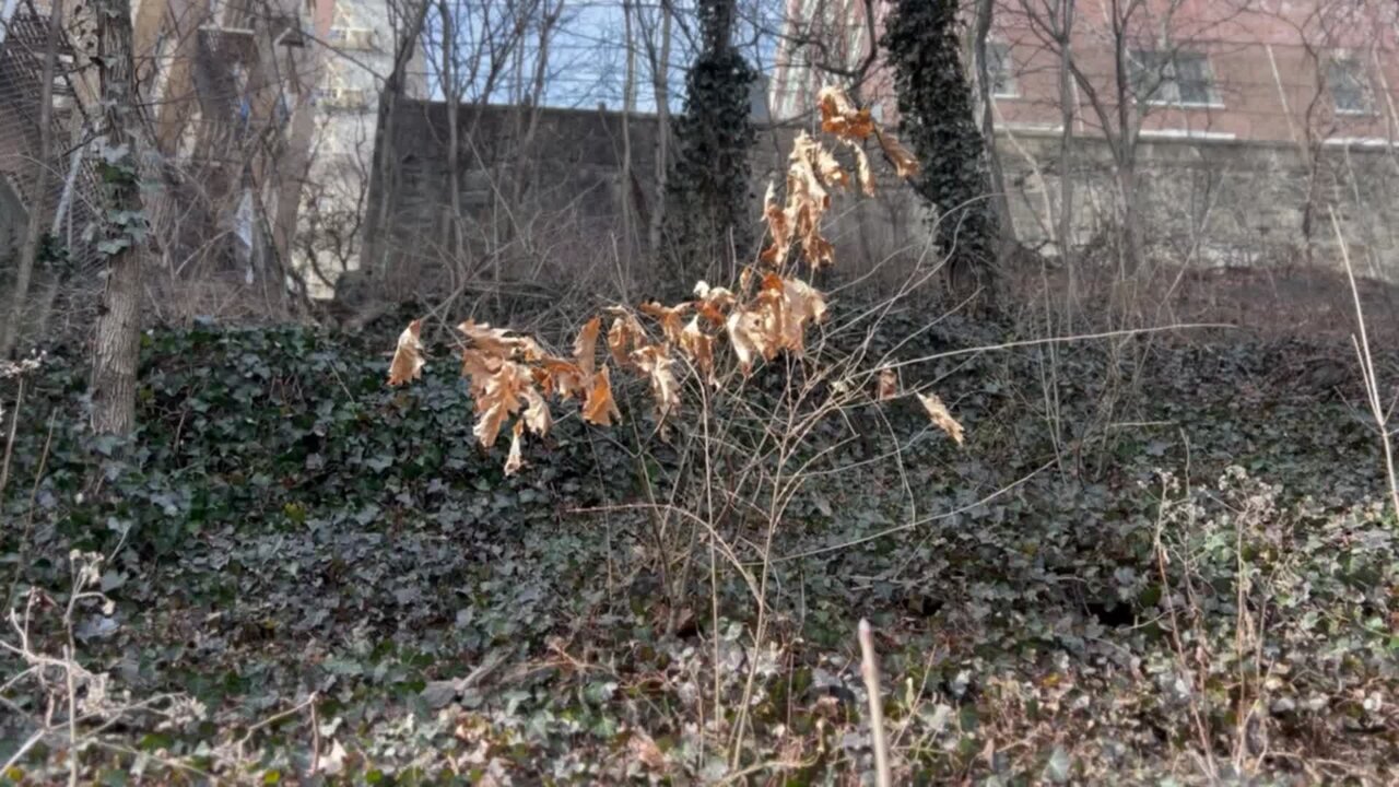 Winter 