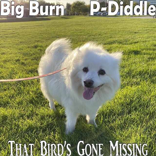 That Bird's Gone Missing