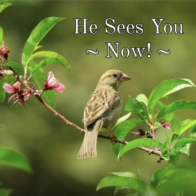 He Sees You ~ Now! ~ (feat. Guest Singer Harry Clarke)