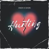 Hurting (feat. Shon)