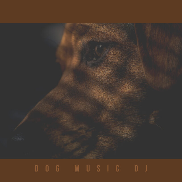 Music For Lonely Dogs