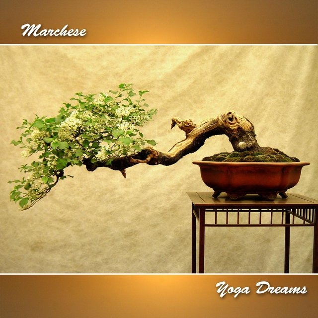 Yoga Dreams