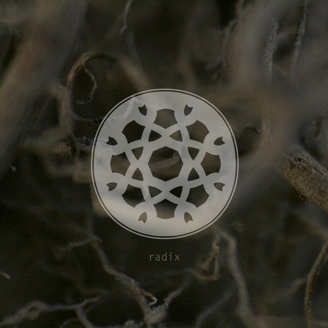 Radix