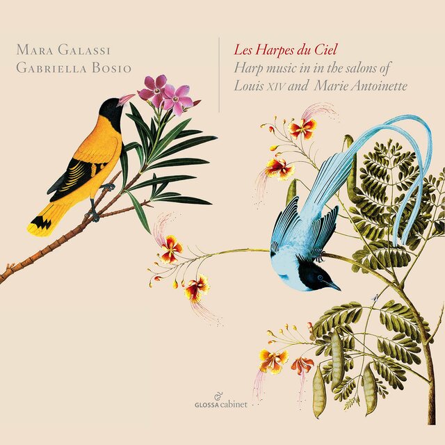 Les Harpes du Ciel - Harp music in the salons of Louis XIV and Marie Antoinette