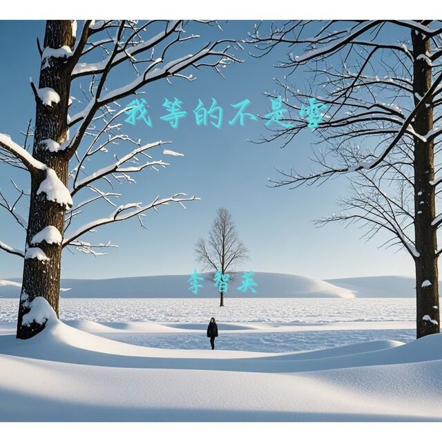 我等的不是雪（艺人李智英版）