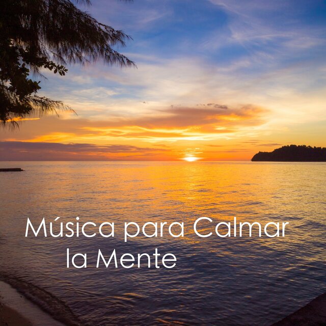 Música para Calmar la Mente