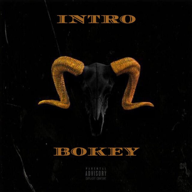 Intro