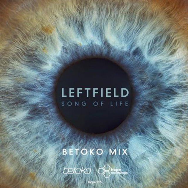 Song of Life (Betoko Remix)