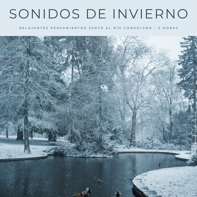 Sonidos De Invierno: Relajantes Pensamientos Junto Al Río Congelado - 2 Horas