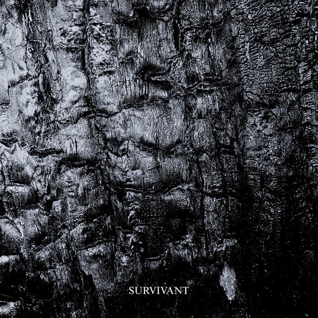 SURVIVANT