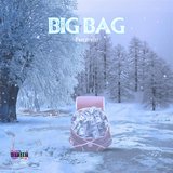 Big Bag (Freeztyle)