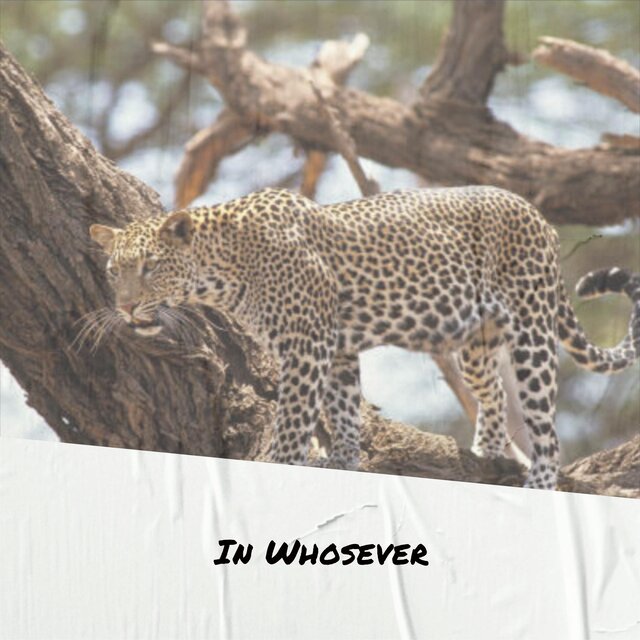 In Whosever