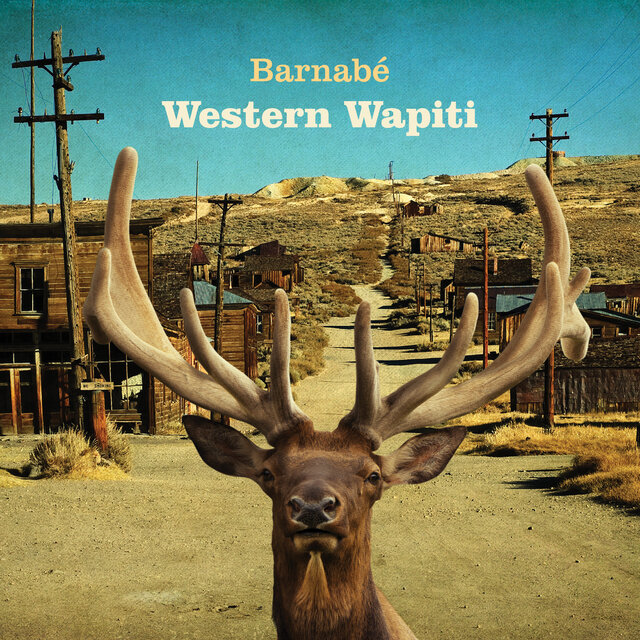 Western Wapiti