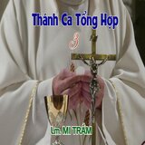 Người Sai Tôi Đi