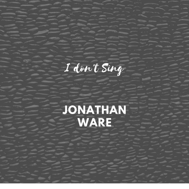 I Don't Sing