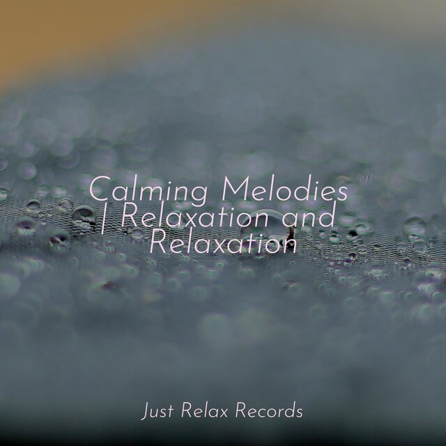 Calming Melodies | Relaxation and Relaxation