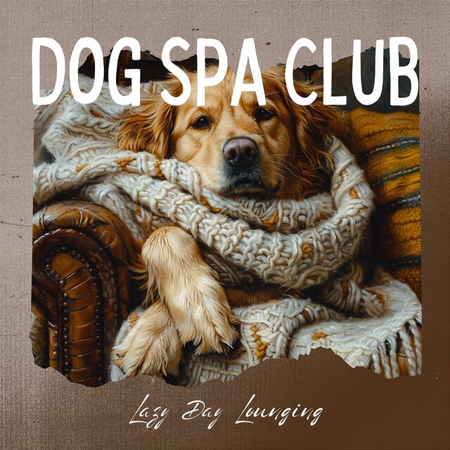 Lazy Day Lounging: Relaxing Dog Space, Best Calming Remedy