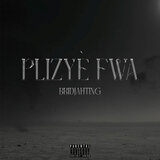 Plizyè Fwa