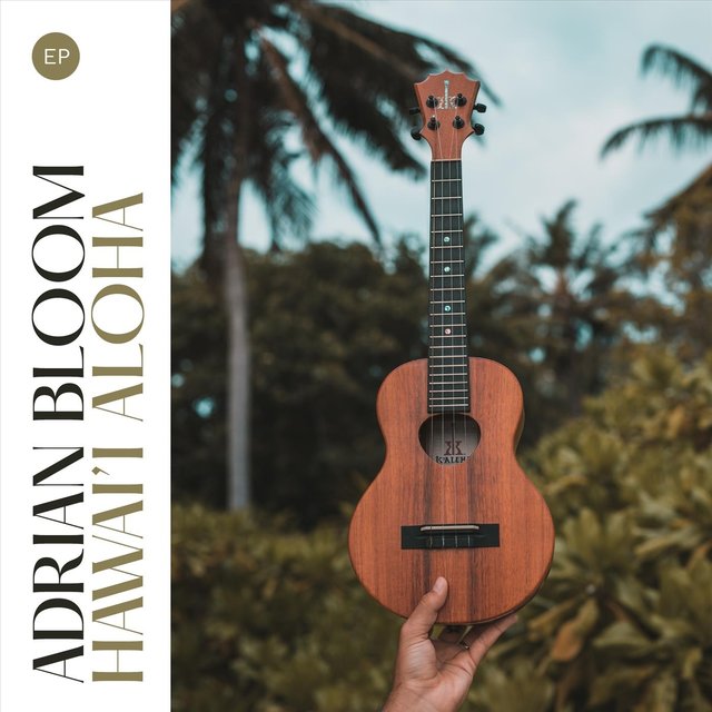 Hawai'i Aloha