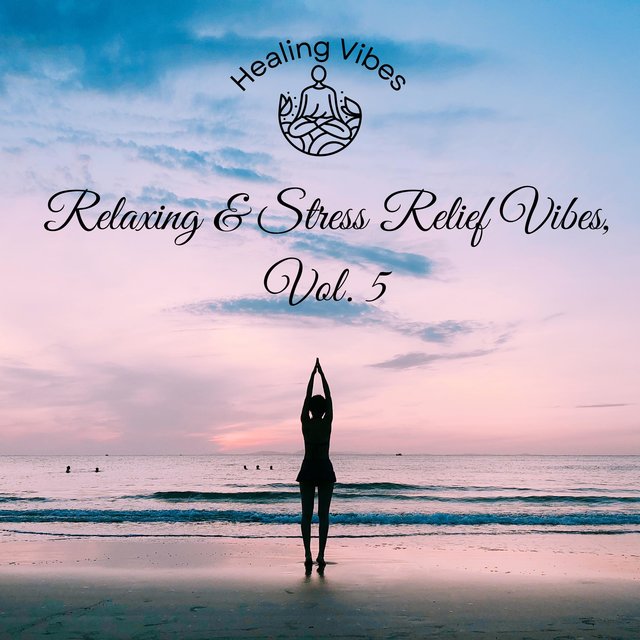 Relaxing & Stress Relief Vibes, Vol. 5