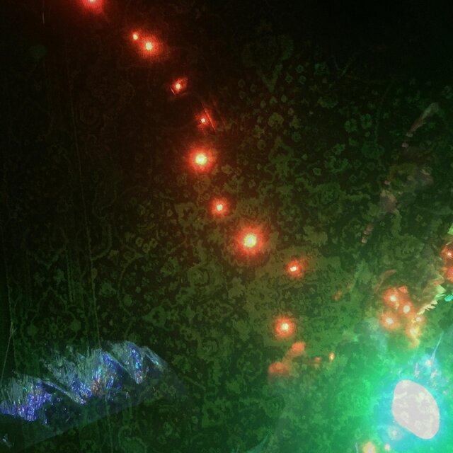 Aliens in the Abode