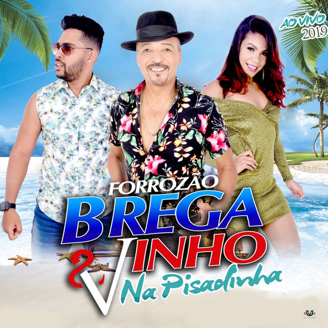 Forrozão Brega E Vinho - Ao Vivo 2019
