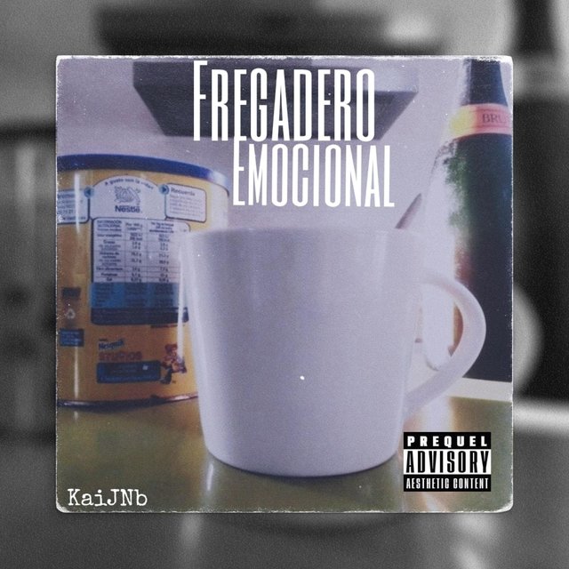 Fregadero Emocional