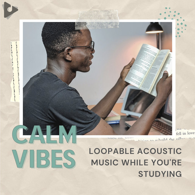 Loopable Acoustic Music While You're Studying