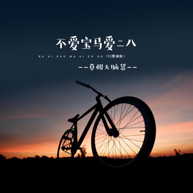 不爱宝马爱二八 (DJ默涵版)