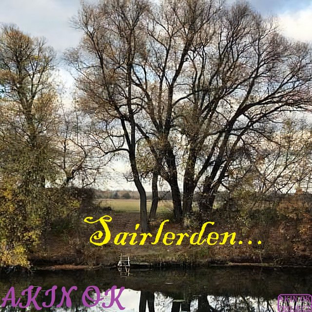Şairlerden