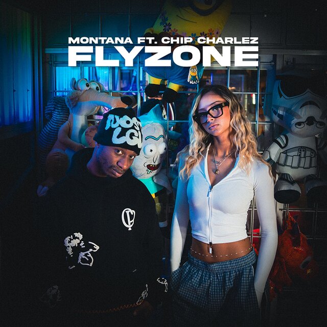 Flyzone
