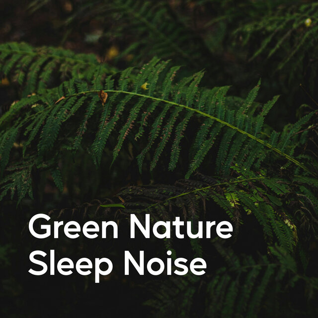 Green Nature Sleep Noise