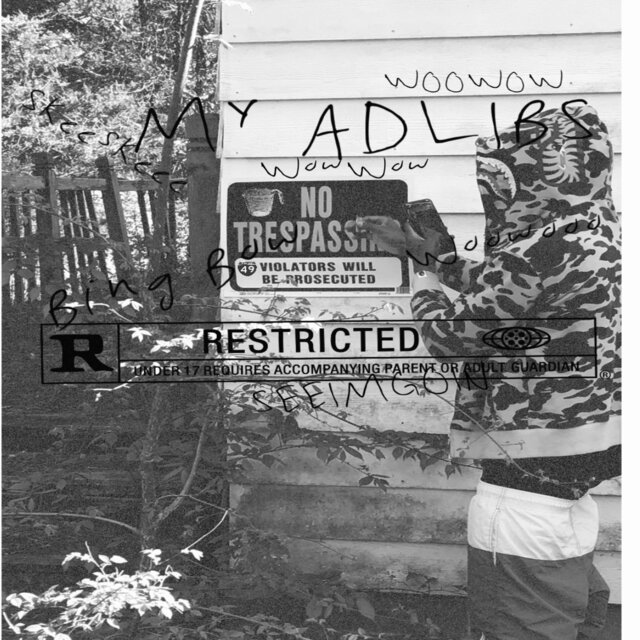 MY ADLIBS