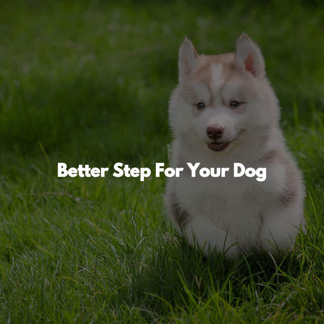 Better Step For Your Dog