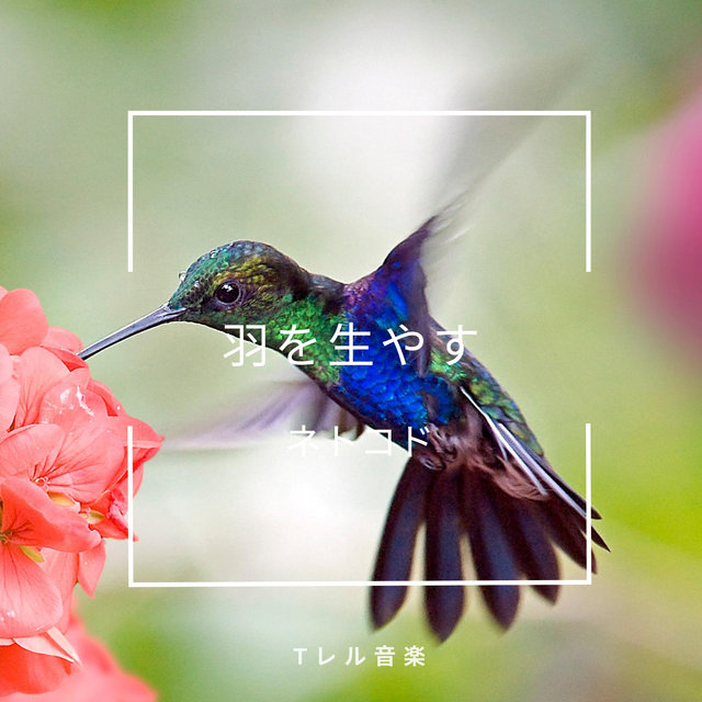 羽を生やす