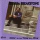 Cover art for album Sittin' On The Thing With Ming by Joshua Breakstone