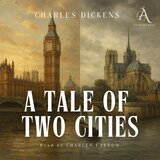 Chapter 01 - A Tale of Two Cities - Audiobook