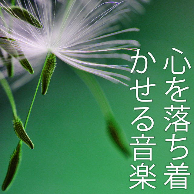 心を落ち着かせる音楽 - 自然癒しの曲