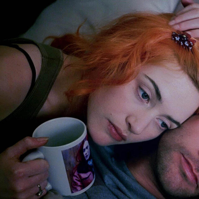 The spotless mind