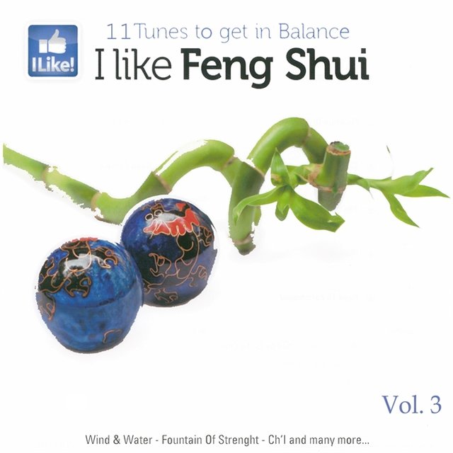 I Like Feng Shui, Vol. 3