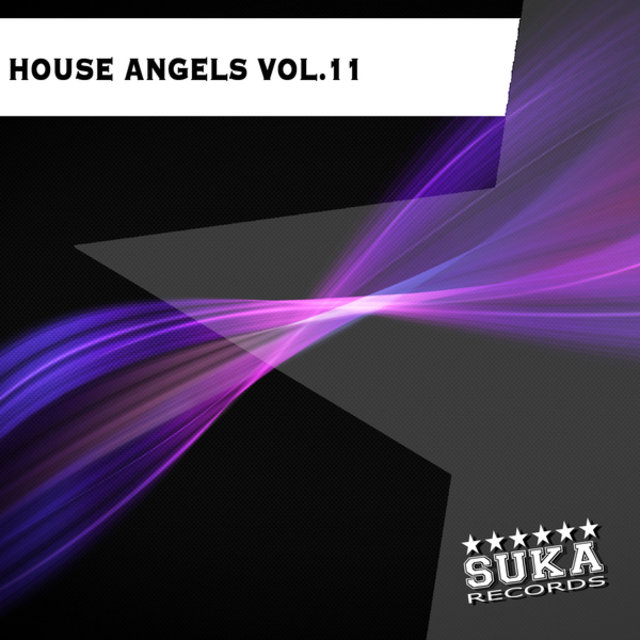 House Angels, Vol. 11