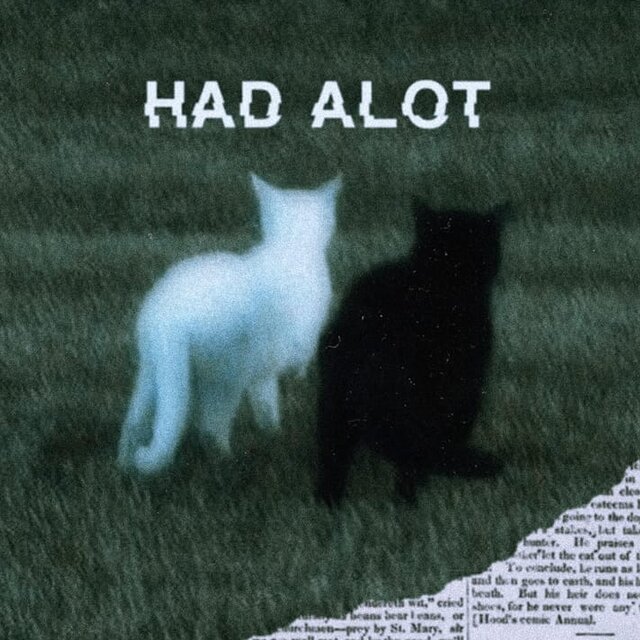 Had a lot