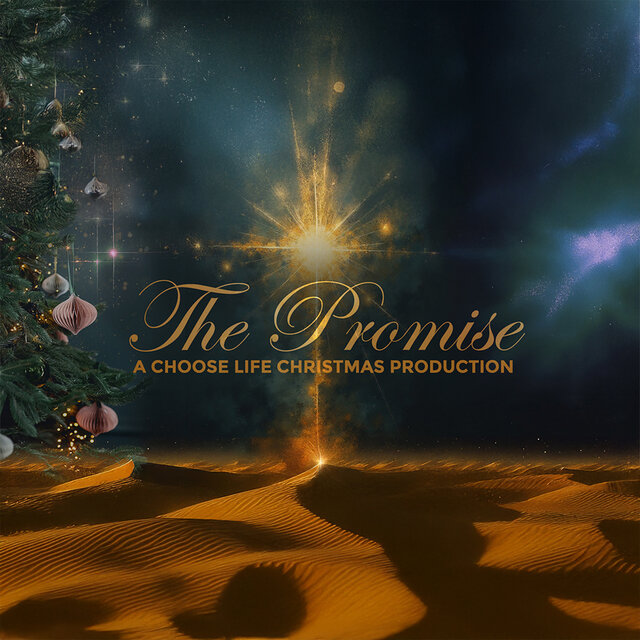 The Promise (Live)