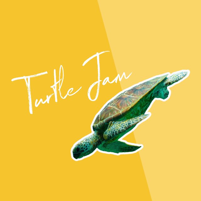 Turtle Jam 7
