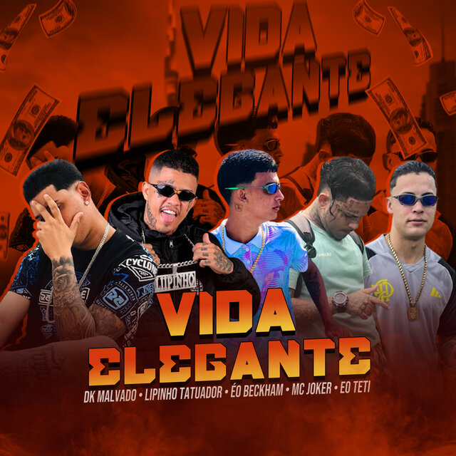 Vida Elegante