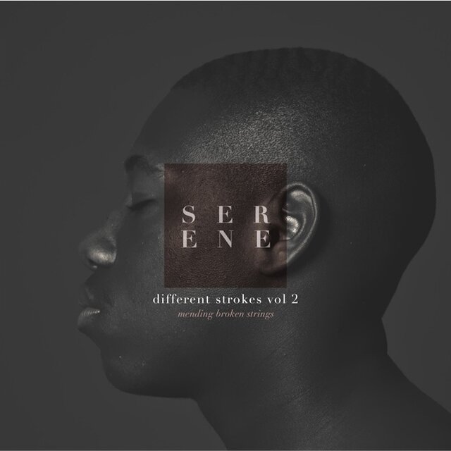 Different Strokes II: Mending Broken Strings EP