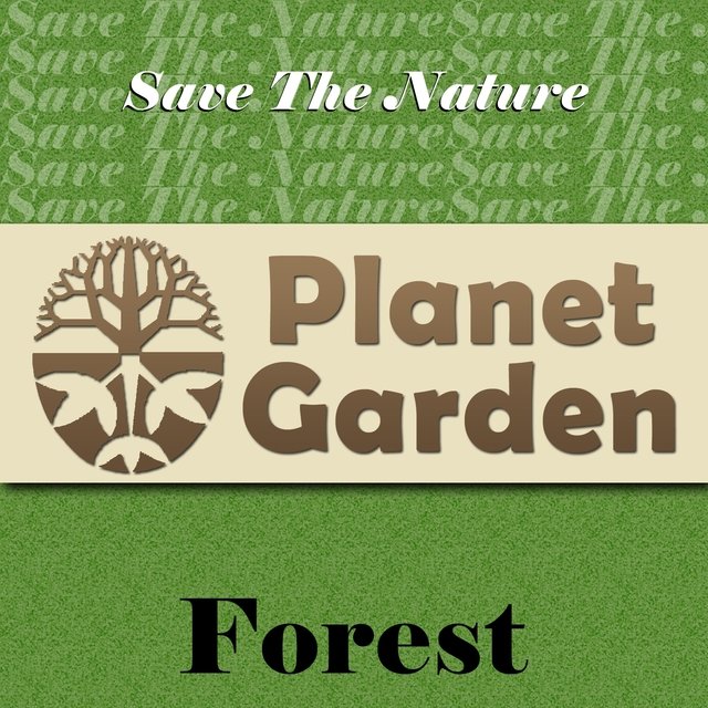 Save the Nature Planet Garden: Forest (Music for the Planet)
