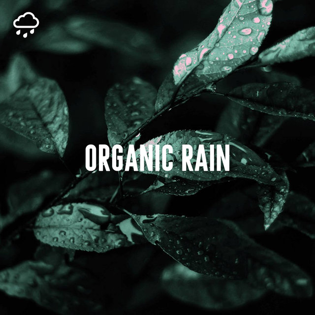 Organic Rain